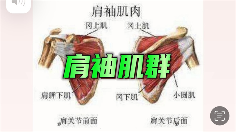 肩周訓(xùn)練 