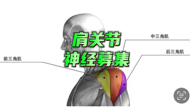 肩周訓(xùn)練