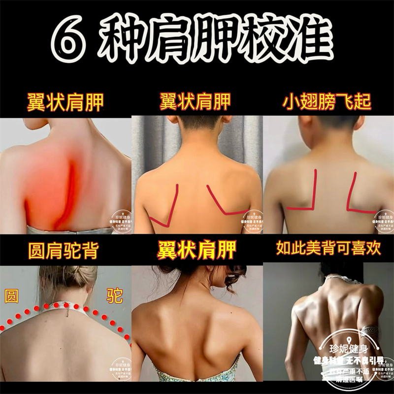 6種減肩甲